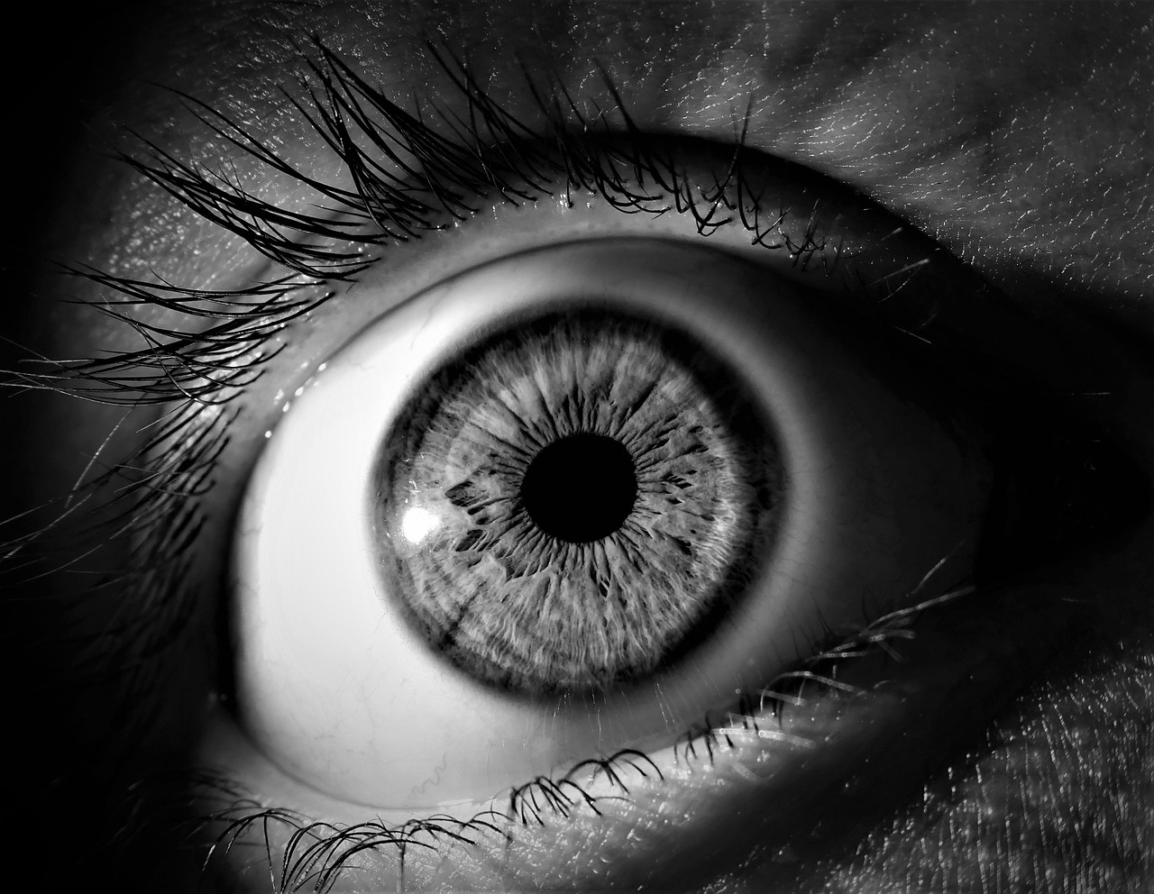How to integrate Vision Robotics in Manufacturing